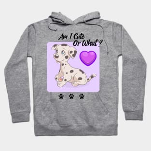 Dalmatian Puppy / Am I Cute Or What / Dalmatian Design Hoodie